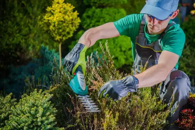 landscaping services Bronxville